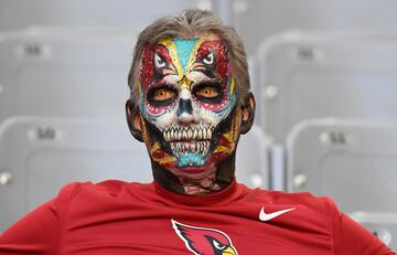 Un seguidor durante el partido Arizona Cardinals - San Francisco 49ers.