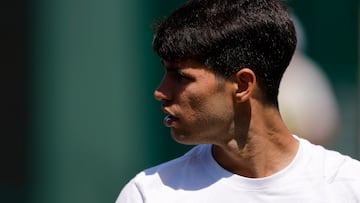 Alcaraz and Raducanu will play mixed doubles together in the 2025 U.S. Open, which has sent parts of the tennis world into meltdown.
