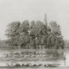 Oxford vs Cambridge, la Regata