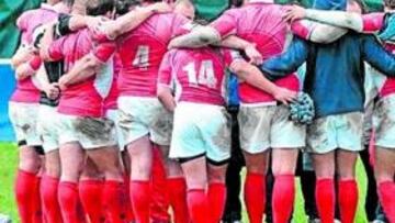 <b>TRIUNFOS. </b>Los Gatos quieren recuperar la senda de la victoria.