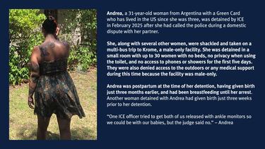 Mujer argentina denunció violencia doméstica en Estados Unidos y fue arrestada por el ICE