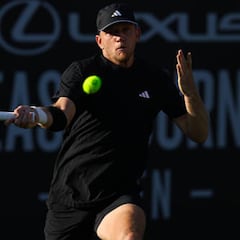 Davidovich estrena con victoria su matrimonio