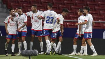Los jugadores del Rayo Majadahonda celebra un gol.