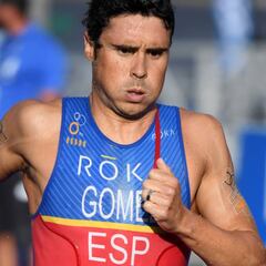 Javier Gómez Noya vuelve a las Series Mundiales en Hamburgo