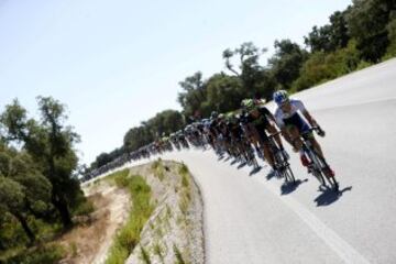 El pelotón durante la tercera etapa de la Vuelta Ciclista a España 2014 que hoy ha transcurrido entre Cádiz capital y el municipio gaditano de Arcos de la Frontera, con un recorrido de 197,8 kilómetros.