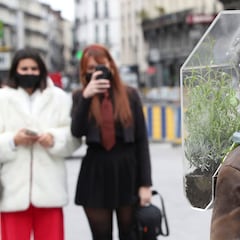 El 'oasis', la burbuja de un artista belga para frenar la COVID