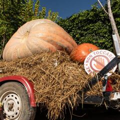 Best haunted houses in Texas, Illinois, Michigan: corn mazes, asylums, and car washes