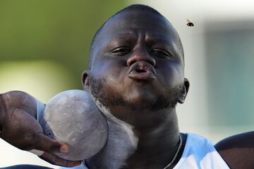 Josh Awotunde recibió una visita muy inesperada en el momento más inoportuno. Cuando el lanzador de peso
más concentrado estaba en su turno en los campeonatos de atletismo de Estados Unidos se cruzó en su campo
de vista una abeja. El insólito espontáneo no consiguió su objetivo de distraer a Awotunde.
