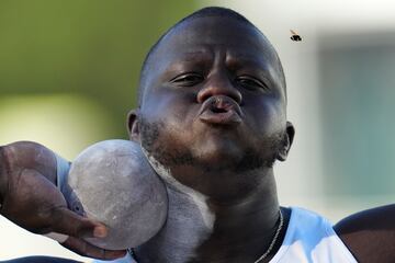 Josh Awotunde recibió una visita muy inesperada en el momento más inoportuno. Cuando el lanzador de peso
más concentrado estaba en su turno en los campeonatos de atletismo de Estados Unidos se cruzó en su campo
de vista una abeja. El insólito espontáneo no consiguió su objetivo de distraer a Awotunde.