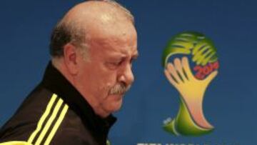 Vicente del Bosque se plantea su continuidad en la Selección