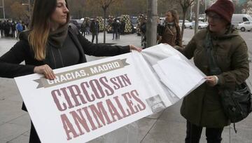 Algunos de los colectivos se concentraron en el Ayuntamiento de Madrid para celebrar la medida.