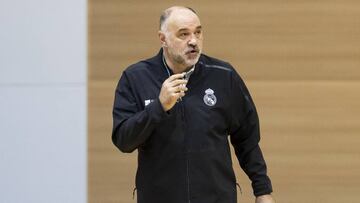 Laso: "Muchos de mis jugadores son los mejores en su puesto"