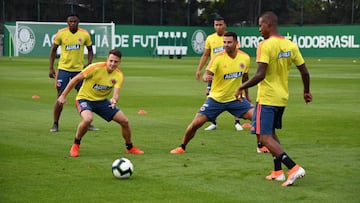 Selección Colombia en el campo de entrenamiento de Palmieras
