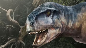 An artist&#039;s impression of the Cretaceous Period meat-eating dinosaur Llukalkan aliocranianus that lived about 80 million years ago in the Patagonia region of Argentina is seen in this handout photo obtained by Reuters on March 30, 2021. Jorge Blanco/