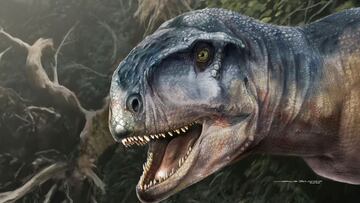 An artist&#039;s impression of the Cretaceous Period meat-eating dinosaur Llukalkan aliocranianus that lived about 80 million years ago in the Patagonia region of Argentina is seen in this handout photo obtained by Reuters on March 30, 2021. Jorge Blanco/