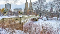 Goodbye to horse carriages in Central Park? Here’s the bill picking up support