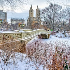 Cuándo es más económico viajar a Nueva York