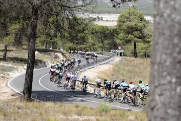 El pelotón durante un tramo de la octava etapa de la Vuelta a España 2017. 