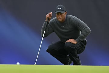 El golfista ha ganado 15 campeonatos de golf profesionales y 82 eventos del PGA Tour. Woods lidera a todos los golfistas activos en victorias en torneos importantes y en el PGA Tour. Además, ha hecho tres hoyo en uno en tours PGA.