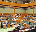 El Parlamento vasco pide que la Selección vuelva a Euskadi