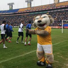 El entrenamiento de Tigres a puerta abierta en imágenes