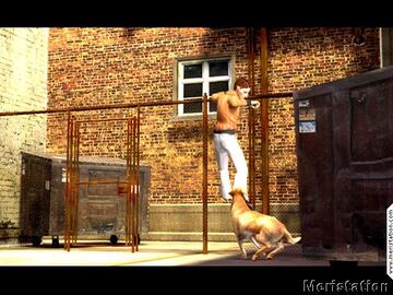 Captura de pantalla - seventiesdog.jpg