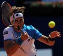 David Ferrer vence a Vesselin
y ya está en cuartos de final