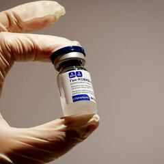 Un laboratorio argentino fabricó 21.000 dosis de la vacuna Sputnik V