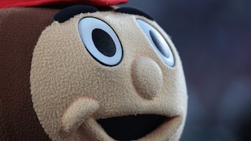 What is a buckeye, the Ohio State mascot?