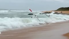 Una orillera se ceba con los competidores del Mundial de surfski