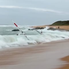 Una orillera se ceba con los competidores del Mundial de surfski