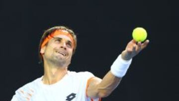 David Ferrer