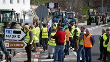 ¿Por qué protestan los agricultores españoles, qué piden y hasta cuándo duran las manifestaciones y huelgas?