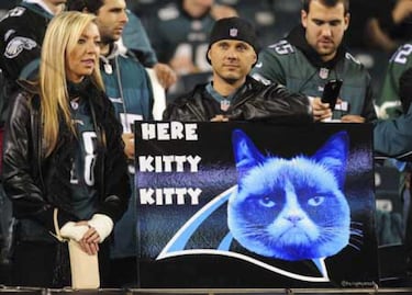 Un repaso breve a la NFC Sur y NFC Oeste