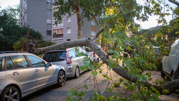 Un tronco de un árbol caído en un coche, a 31 de agosto de 2022, en Barcelona, Cataluña (España). Los Bombers de Barcelona han atendido un total de 118 avisos, 76 de ellos relacionados con el episodio de lluvia y viento, y que han originado 39 servicios. Fuentes municipales han informado que 17 de los servicios han sido por desprendimiento de ramas o caídas de árboles. El cuerpo también ha realizado 17 reconocimientos de daños en fachadas y tejados, y cinco servicios más relacionados con inundaciones y filtraciones, han detallado las mismas fuentes.
31 AGOSTO 2022;ARBOLES;LLUVIA;BARCELONA;CATALUÑA
Lorena Sopêna / Europa Press
31/08/2022