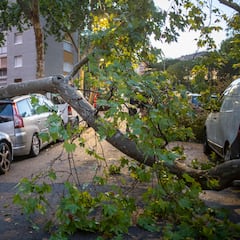 Aviso de AEMET: una profunda borrasca se acerca a España