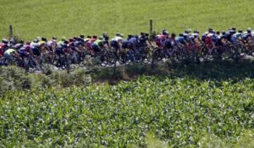 El pelotón recorriendo los 216 km de la etapa de hoy.