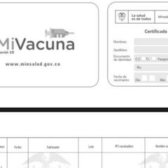 Carnet de vacunación COVID: cómo funcionará a partir de mayo
