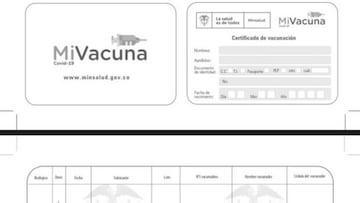 Carnet de vacunación COVID: cómo funcionará a partir de mayo  