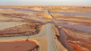 Margaret Harris, portavoz de la OMS: "No se ha registrado una tormenta como esta en la región desde que tenemos memoria, por lo que es un gran shock".