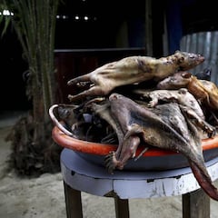 Detectan ratas infectadas de coronavirus en restaurantes de Vietnam listas para comer