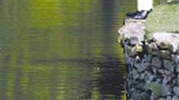 Sergio vio hundirse sus opciones.