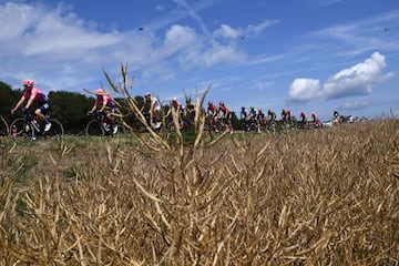 Las imágenes de la victoria de Groenewegen en la 7ª etapa del Tour