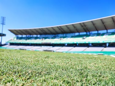 El Arcángel se adapta al invierno con la siembra de “raygrass”