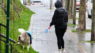 Llegada del temporal marítimo de viento y lluvia a Cantabria, a 30 de enero de 2025, en Santander, Cantabria (España). El Ayuntamiento de Santander ha declarado la fase de preemergencia del Plan de Emergencias Municipal (PEMUSAN) como consecuencia del temporal marítimo que prevé la Agencia Estatal de Meteorología (AEMET) para este jueves, con la activación del aviso rojo por oleaje, y ante lo que se desplegará también el dispositivo preventivo.
30 ENERO 2025
César Ortiz / Europa Press
30/01/2025