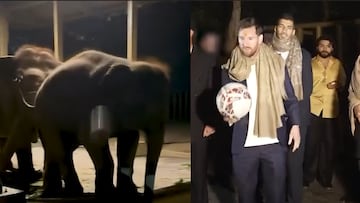 Messi le da un pase a un elefante en su visita a la India
