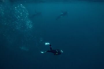 El cinco veces campe¨®n mundial de apnea, el franc¨¦s Arthur Guerin-Boeri, nada junto a unas orcas en el Oc¨¦ano Glaciar ?rtico.