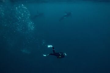 El cinco veces campeón mundial de apnea, el francés Arthur Guerin-Boeri, nada junto a unas orcas en el Océano Glaciar Ártico.