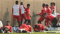 Holanda - Perú: horario, canal de TV y cómo ver online