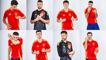 La nueva equipaci車n de la selecci車n espa?ola de f迆tbol presenta un aspecto cl芍sico. La base de la camiseta est芍 salpicada de motivos ondulados que mezclan las formas de la flor nacional del pa赤s -el clavel- y los mares que rodean la pen赤nsula. Tanto en la camiseta local como en la visitante, en el cuello de la espalda, aparece la flor del clavel. El s赤mbolo del clavel tiene sus ra赤ces en el legado del emperador Carlos I de Espa?a y V de Alemania el cual entreg車 a su esposa Isabel de Portugal el primer clavel de la historia de Espa?a.